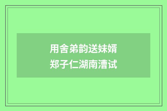 用舍弟韵送妹婿郑子仁湖南漕试