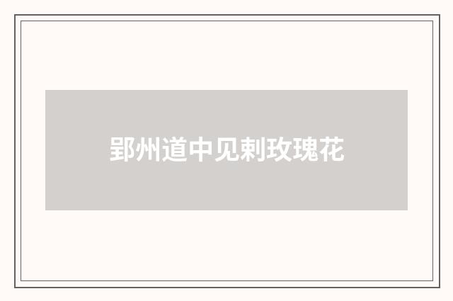 郢州道中见剌玫瑰花