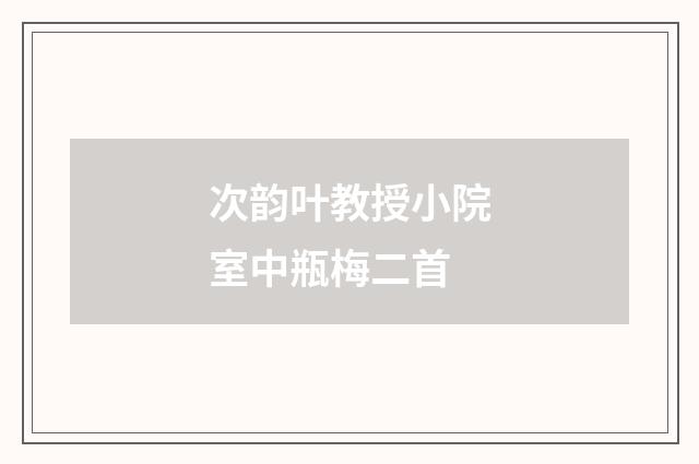 次韵叶教授小院室中瓶梅二首