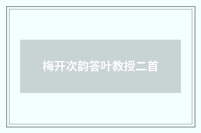 梅开次韵答叶教授二首