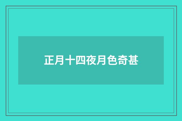 正月十四夜月色奇甚