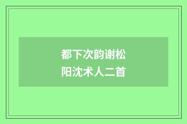 都下次韵谢松阳沈术人二首