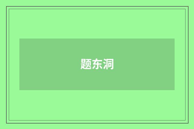 题东洞