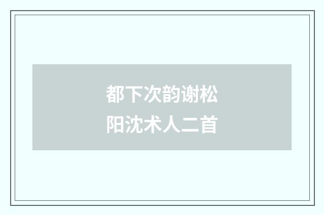都下次韵谢松阳沈术人二首