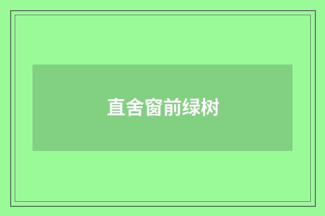 直舍窗前绿树