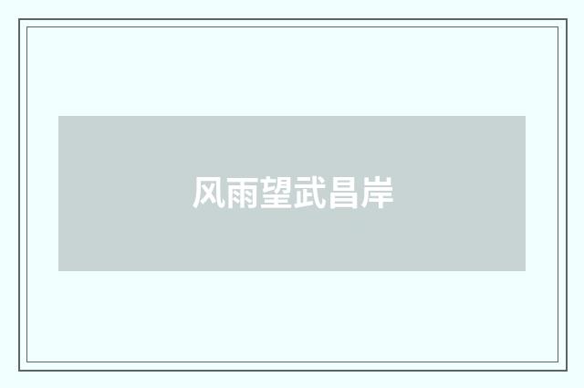风雨望武昌岸