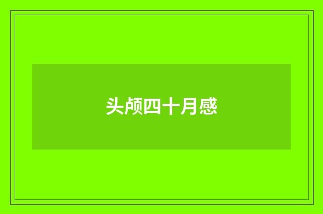 头颅四十月感