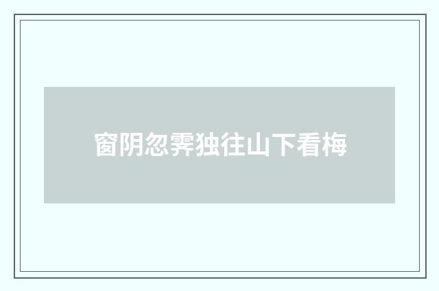 窗阴忽霁独往山下看梅