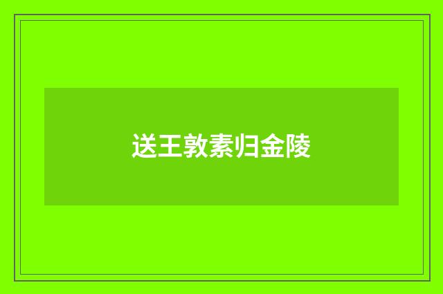 送王敦素归金陵
