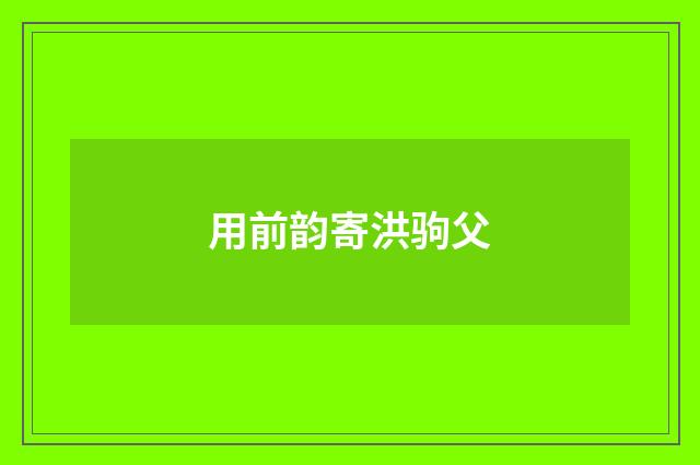 用前韵寄洪驹父
