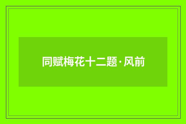 同赋梅花十二题·风前