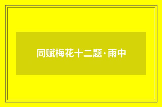 同赋梅花十二题·雨中