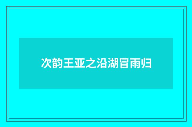 次韵王亚之沿湖冒雨归
