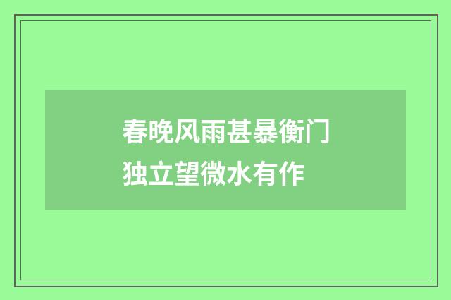 春晚风雨甚暴衡门独立望微水有作