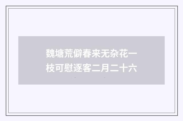 魏塘荒僻春来无杂花一枝可慰逐客二月二十六