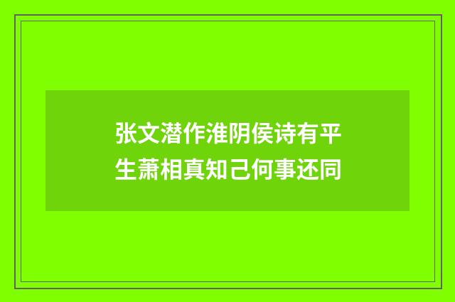 张文潜作淮阴侯诗有平生萧相真知己何事还同