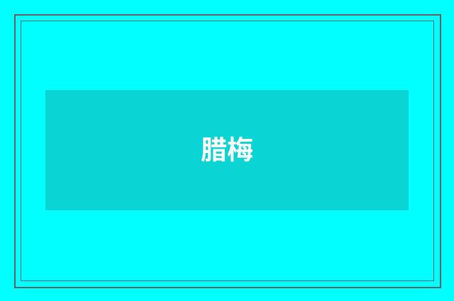 腊梅