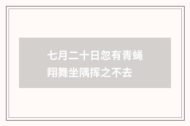 七月二十日忽有青蝇翔舞坐隅挥之不去