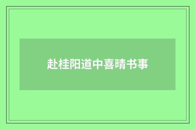 赴桂阳道中喜晴书事