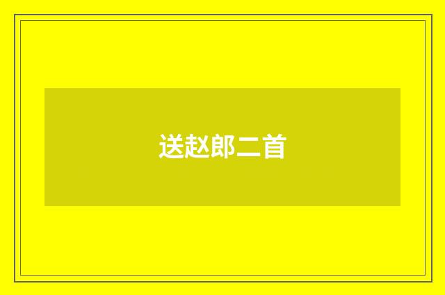 送赵郎二首