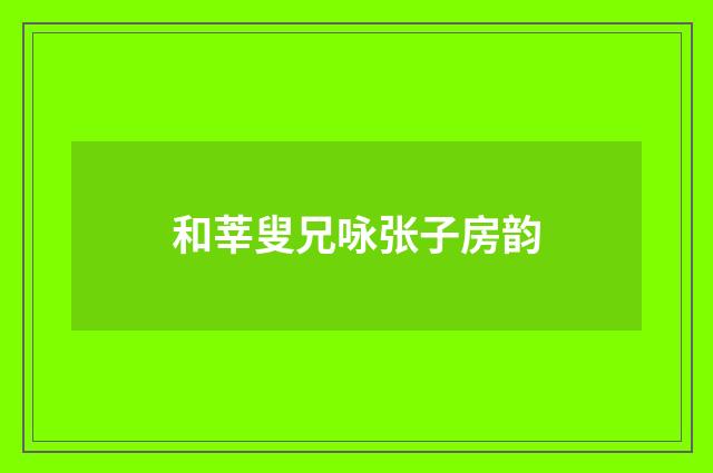 和莘叟兄咏张子房韵