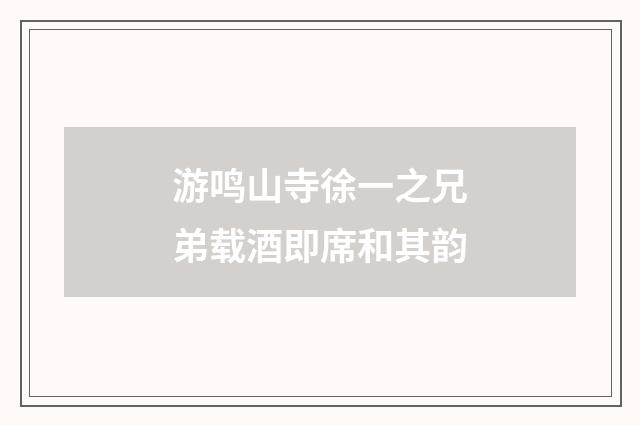 游鸣山寺徐一之兄弟载酒即席和其韵