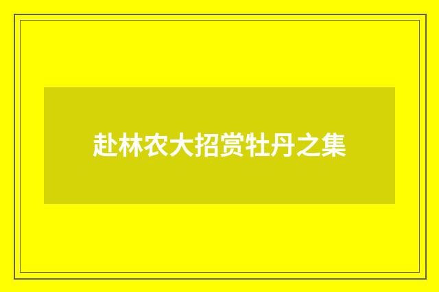 赴林农大招赏牡丹之集