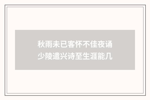 秋雨未已客怀不佳夜诵少陵遣兴诗至生涯能几