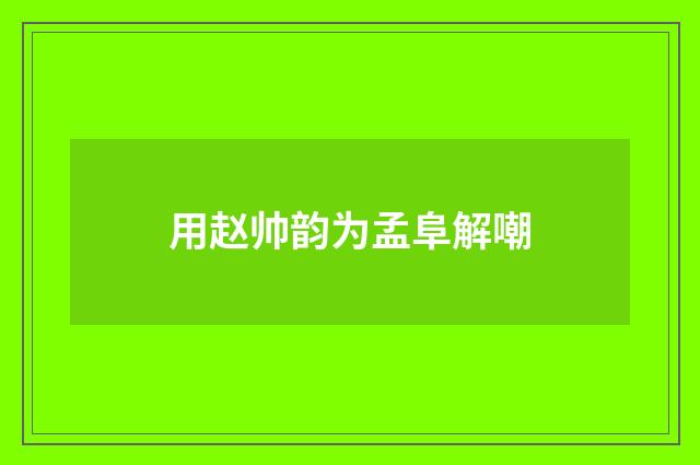用赵帅韵为孟阜解嘲