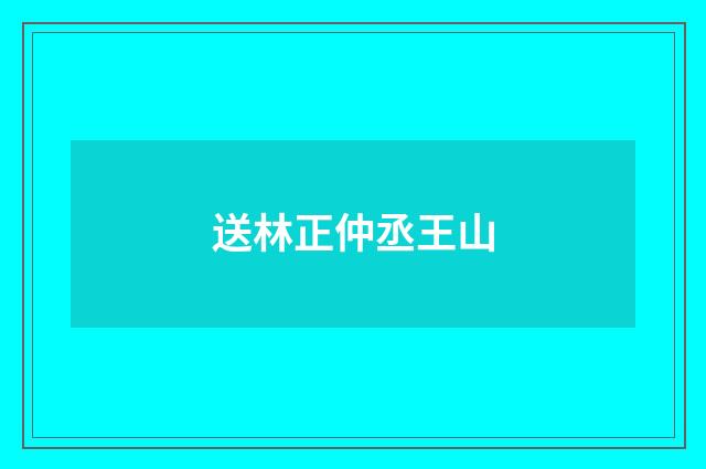 送林正仲丞王山