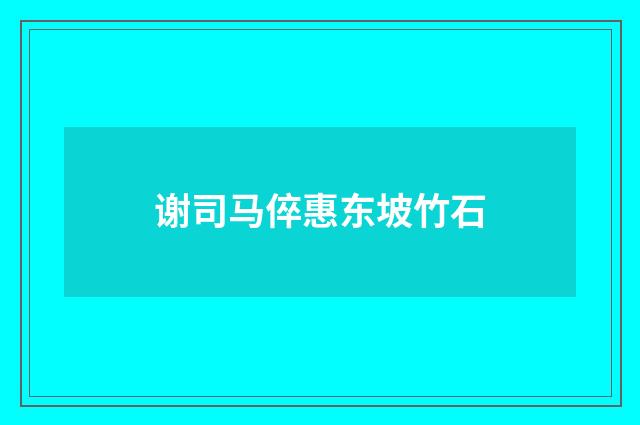 谢司马倅惠东坡竹石