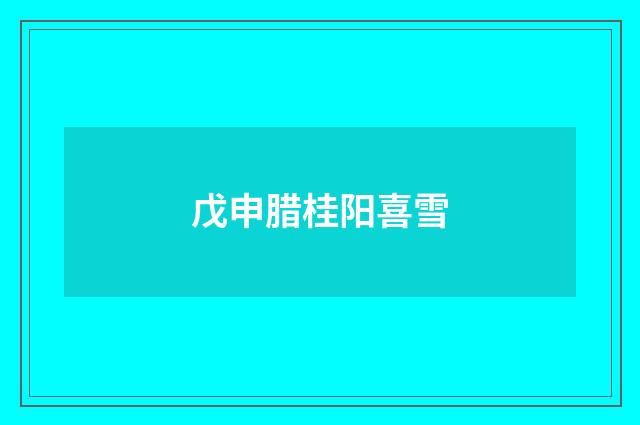 戊申腊桂阳喜雪