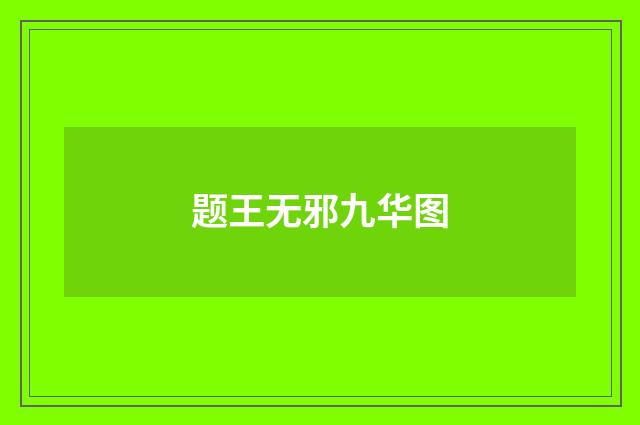 题王无邪九华图