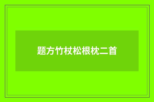 题方竹杖松根枕二首
