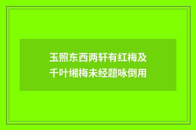 玉照东西两轩有红梅及千叶缃梅未经题咏倒用