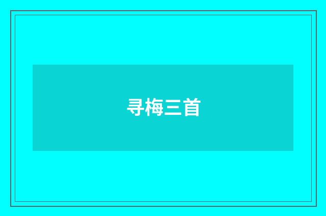 寻梅三首