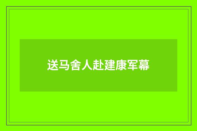 送马舍人赴建康军幕