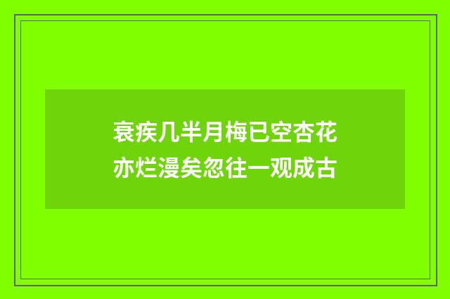 衰疾几半月梅已空杏花亦烂漫矣忽往一观成古
