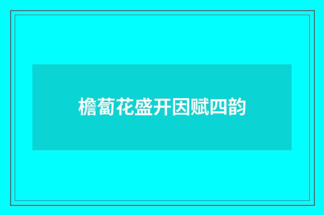 檐蔔花盛开因赋四韵