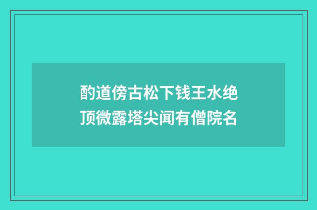 酌道傍古松下钱王水绝顶微露塔尖闻有僧院名