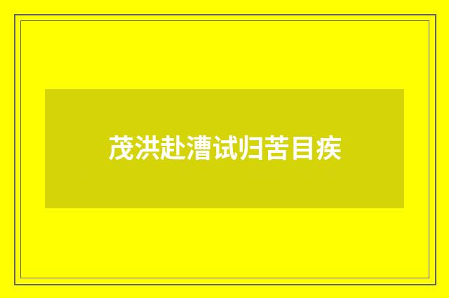 茂洪赴漕试归苦目疾