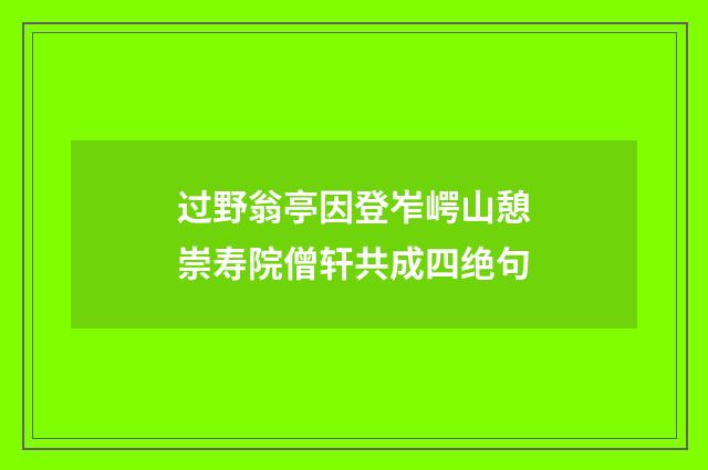 过野翁亭因登岝崿山憩崇寿院僧轩共成四绝句
