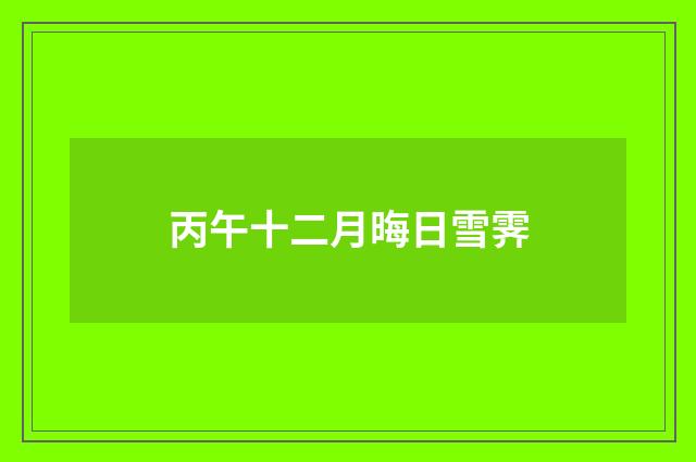 丙午十二月晦日雪霁