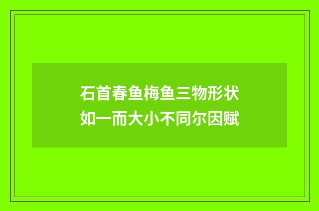 石首春鱼梅鱼三物形状如一而大小不同尔因赋