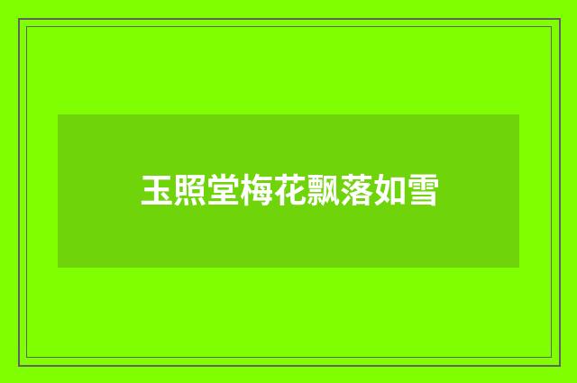 玉照堂梅花飘落如雪