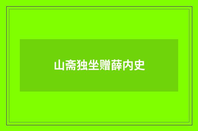 山斋独坐赠薛内史