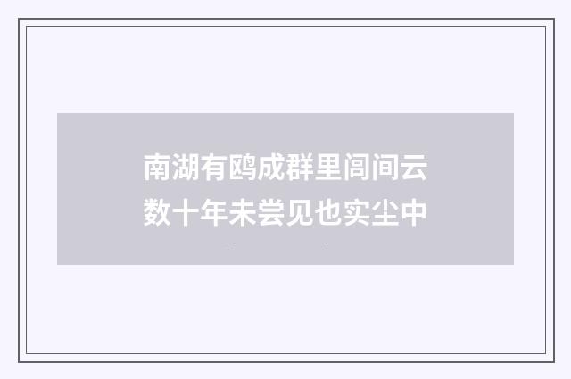 南湖有鸥成群里闾间云数十年未尝见也实尘中