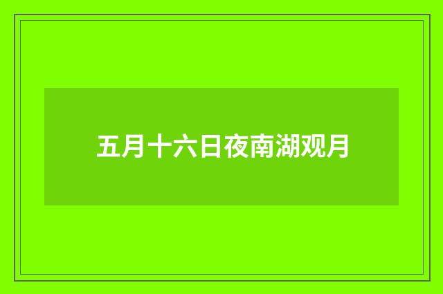 五月十六日夜南湖观月