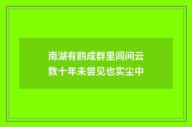 南湖有鸥成群里闾间云数十年未尝见也实尘中