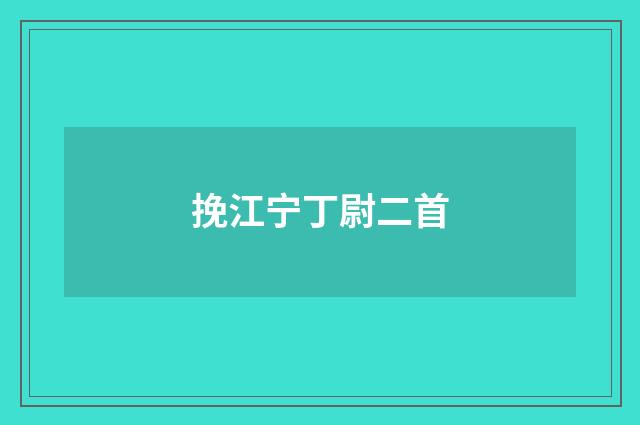 挽江宁丁尉二首